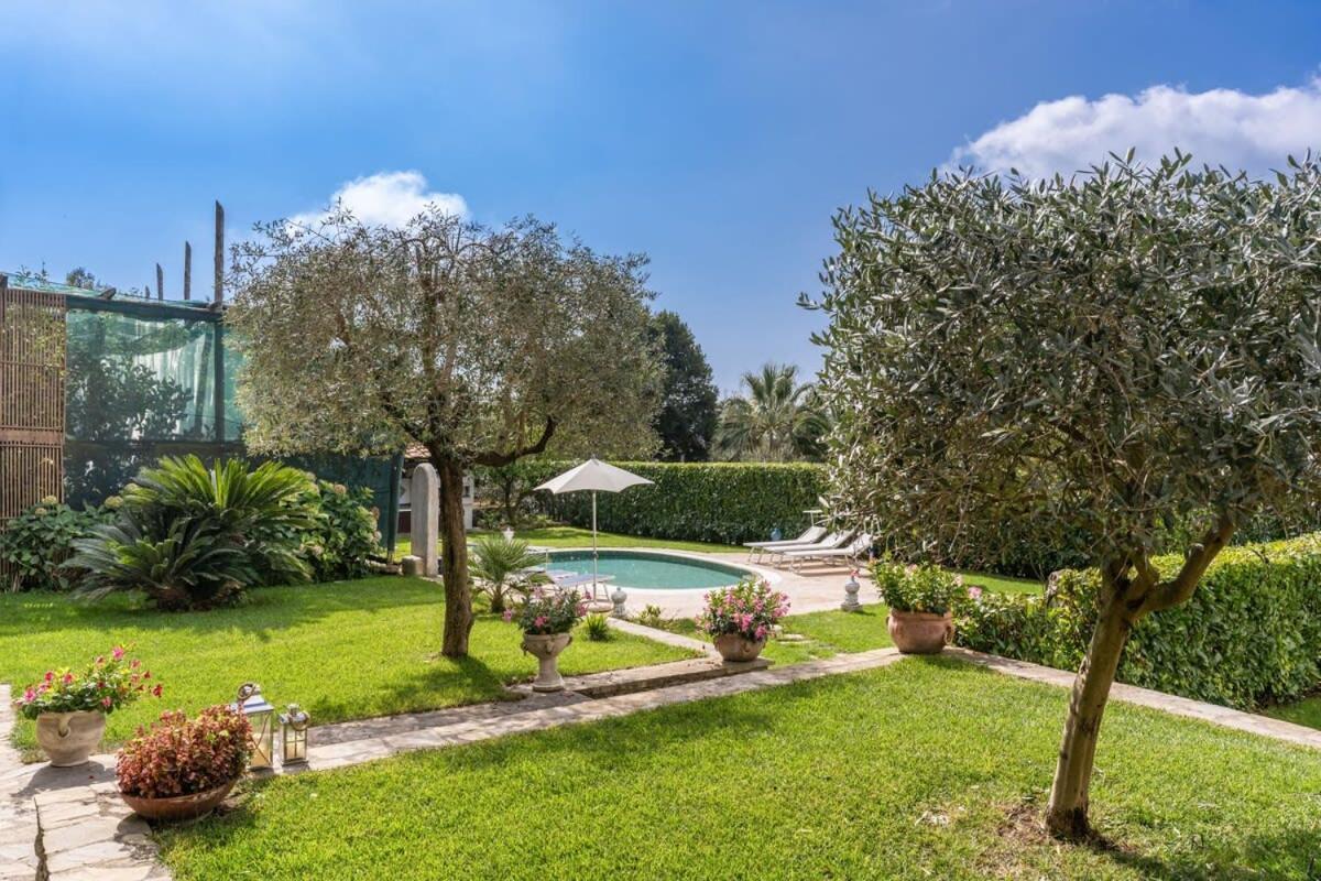Villa Mimosa Rustic Elegance Views & Pool 马萨鲁布朗斯 外观 照片